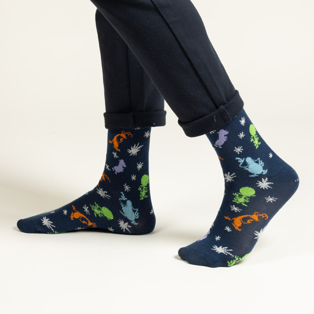 Chaussettes Les Zinzins de l'Espace