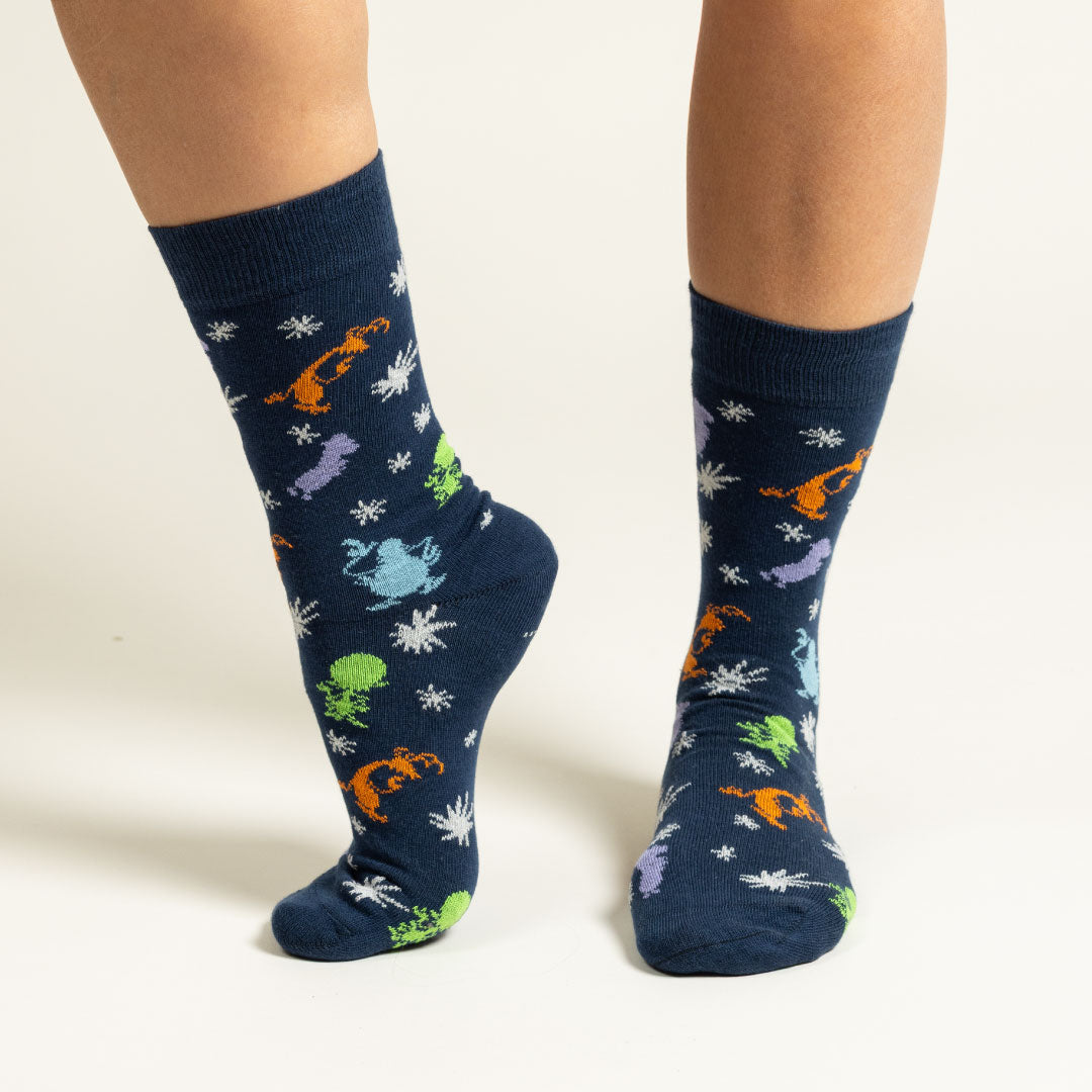 Chaussettes Les Zinzins de l'Espace