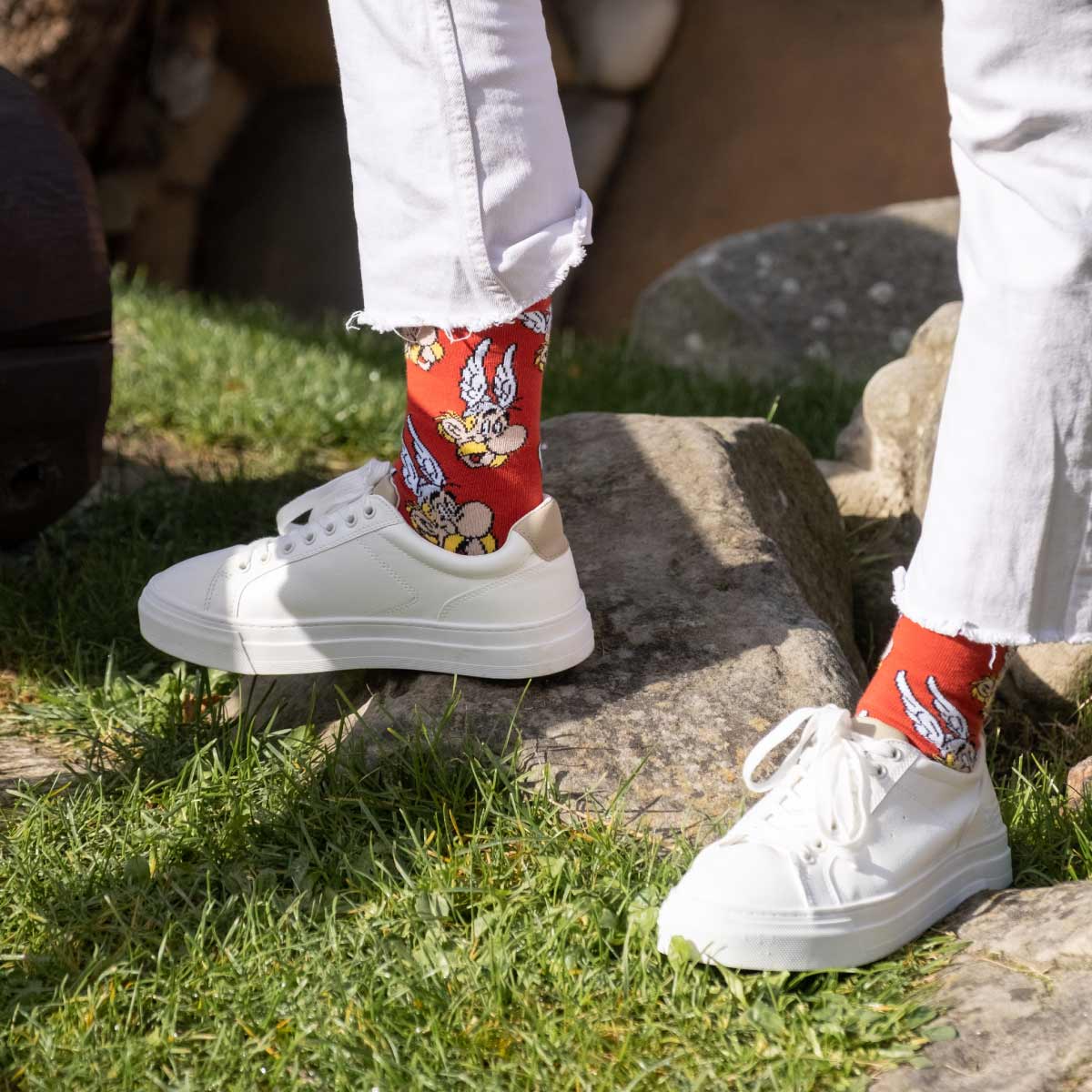 Asterix Socks Box
