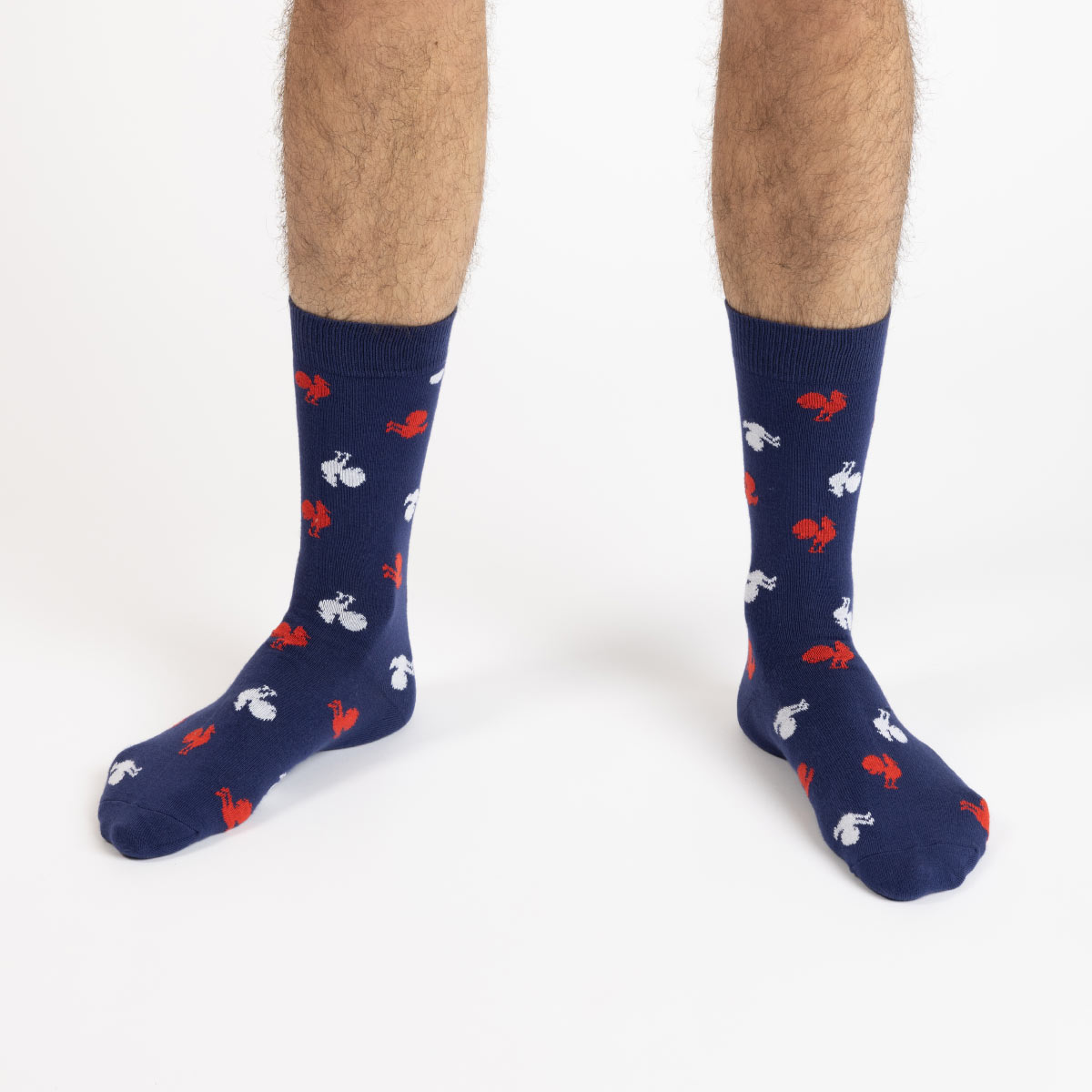 Chaussettes France Rugby