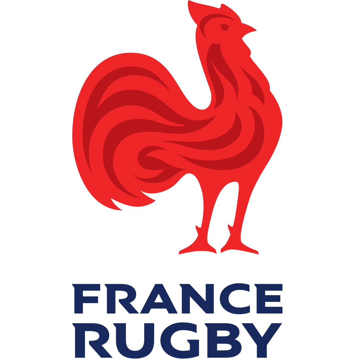 Chaussettes France Rugby - FFR - Made in France