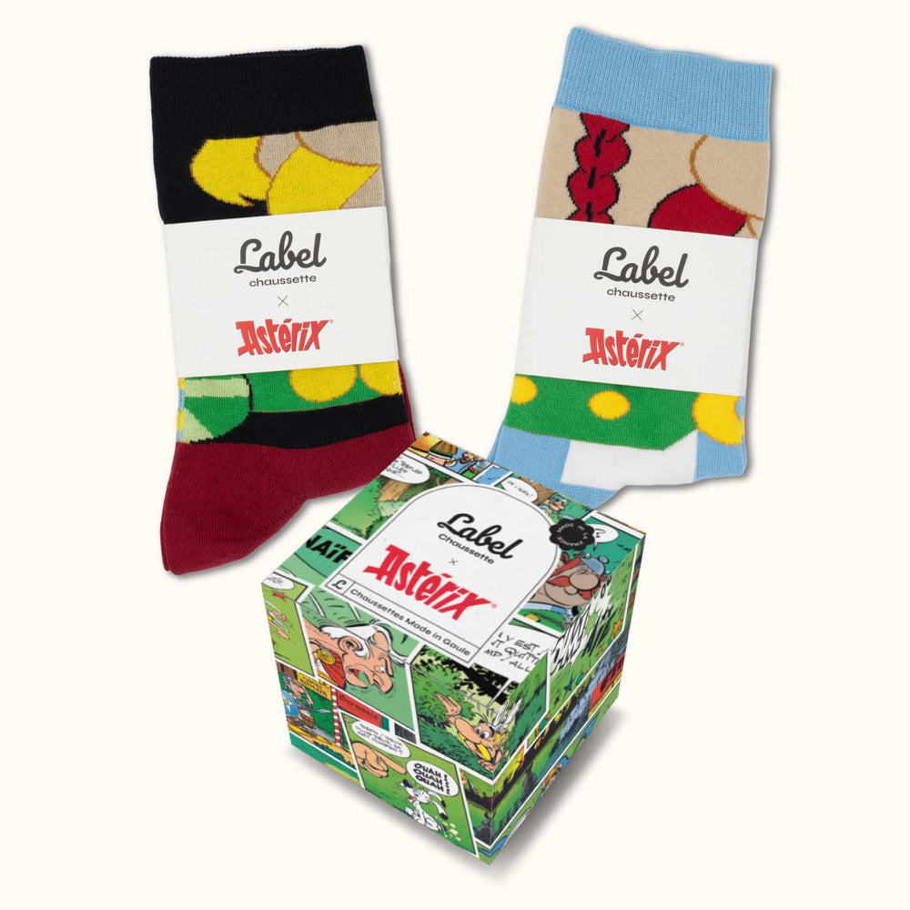 Asterix and Obelix, the Gallic heroes at your feet