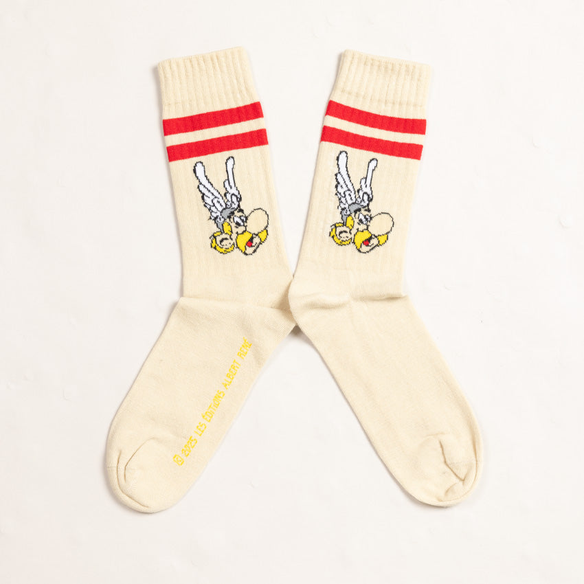 Coffret Chaussettes Astérix