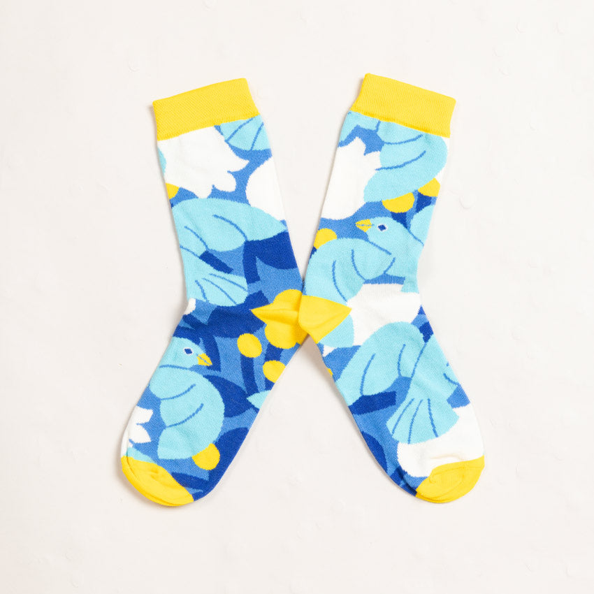 Chaussettes artistiques