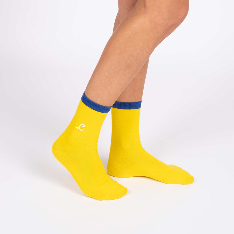 Chaussettes brodées