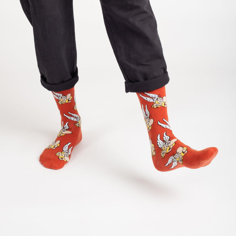Chaussettes Astérix portées homme