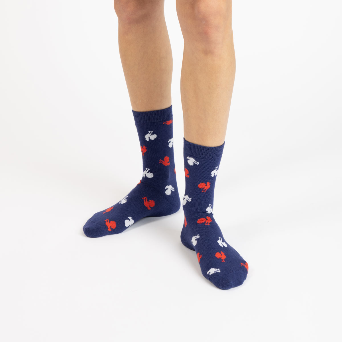 France Rugby Socks Box