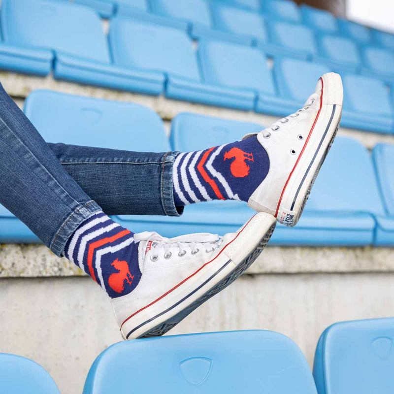 France Rugby - Bouclier