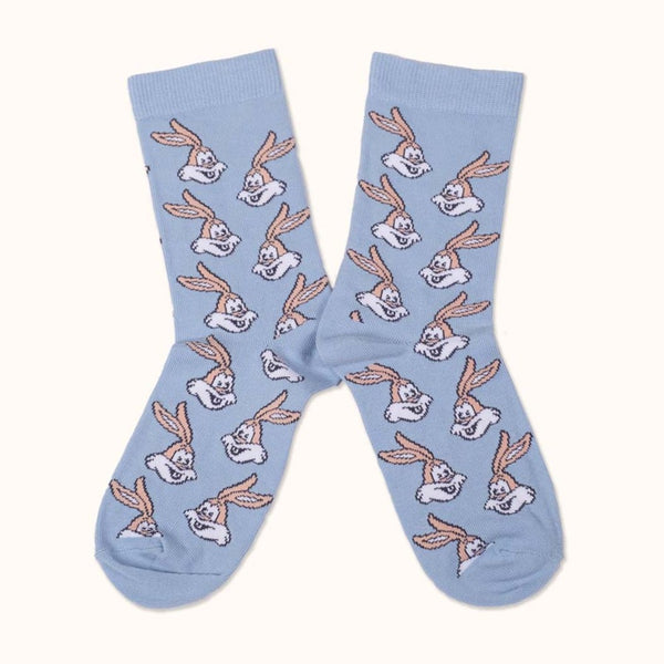 Chaussettes RATP bleu packshot